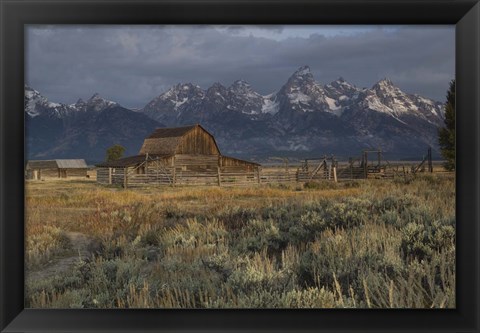 Framed Barn In Grand Teton National Park, Wyoming Print