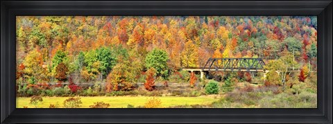 Framed Cantilever Bridge And Autumnal Trees In Forest, Central Bridge, New York State Print