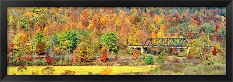 Framed Cantilever Bridge And Autumnal Trees In Forest, Central Bridge, New York State Print