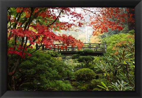 Framed Autumn Leaves On Trees And Footbridge, Japanese Garden Print