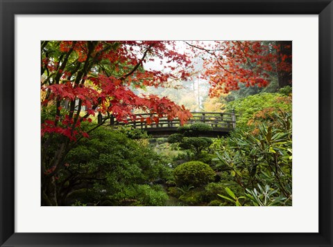 Framed Autumn Leaves On Trees And Footbridge, Japanese Garden Print