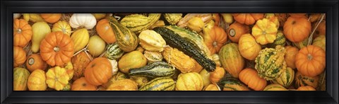 Framed View Of Decoarative Pumpkins Print