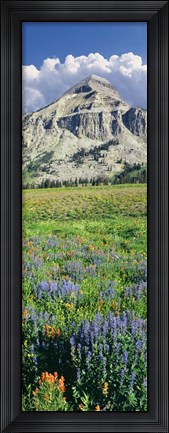 Framed Lupine And Indian Paintbrush Flowers At Bottom Of Fossil Mountain, Wyoming Print