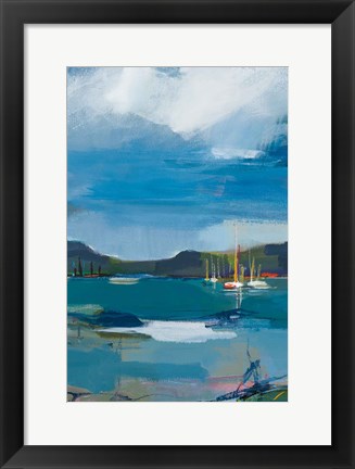 Framed Coastal Display II Print