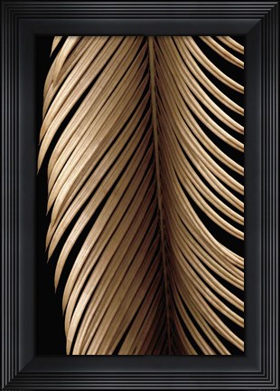 Framed Tropical Leaf Study II Print