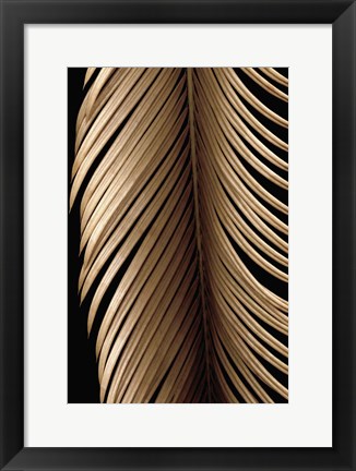 Framed Tropical Leaf Study II Print