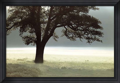Framed Enlighten Me Print