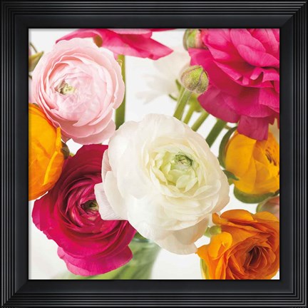 Framed Burst of Sunshine I Print