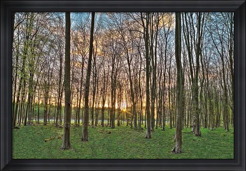 Framed Secret Sunset Print