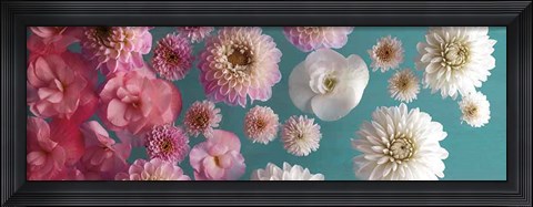 Framed Garden Splash Print