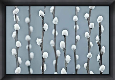 Framed Protected Print