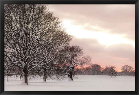 Framed Rosy Sunset Print