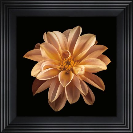 Framed Four Keeps II Print