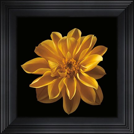 Framed Four Keeps III Print