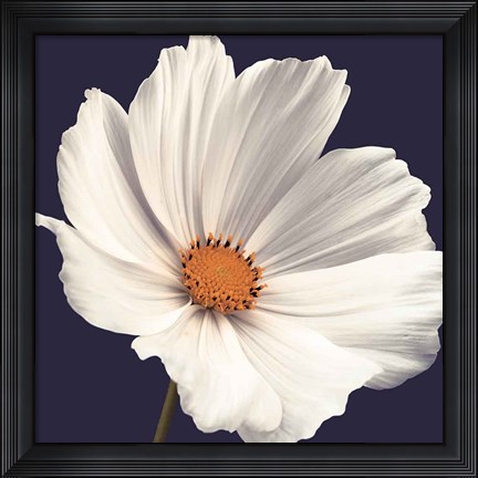Framed Cosmos I Print