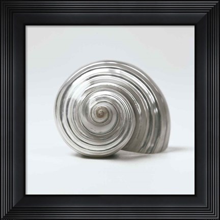 Framed Beachside Treasure II Print