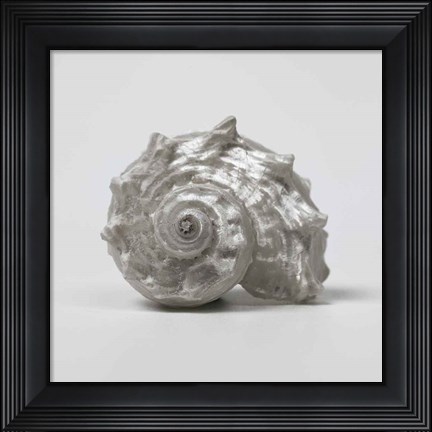 Framed Beachside Treasure III Print