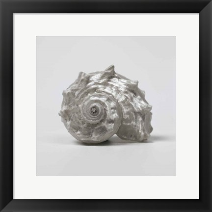 Framed Beachside Treasure III Print