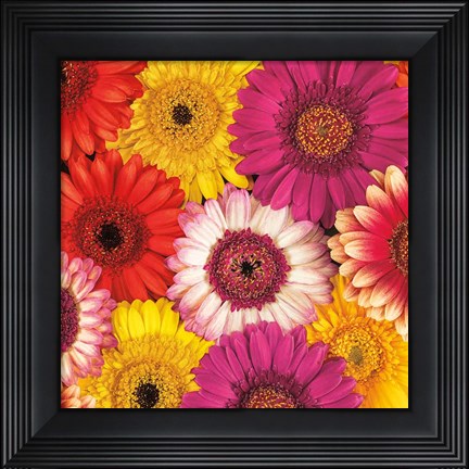 Framed Splash of Color I Print