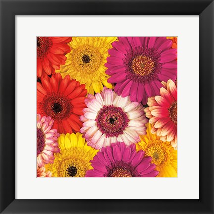 Framed Splash of Color I Print