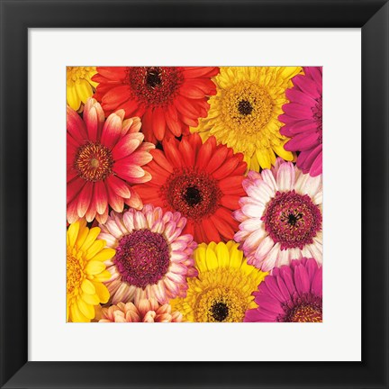 Framed Splash of Color II Print