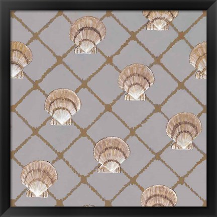 Framed Scallop Shell Net Print