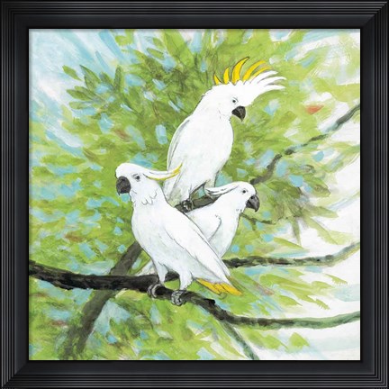 Framed Cockatoos Print