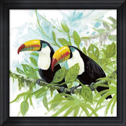Framed Toucans Print