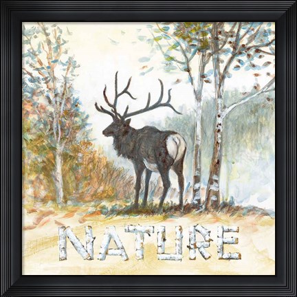 Framed Nature Print