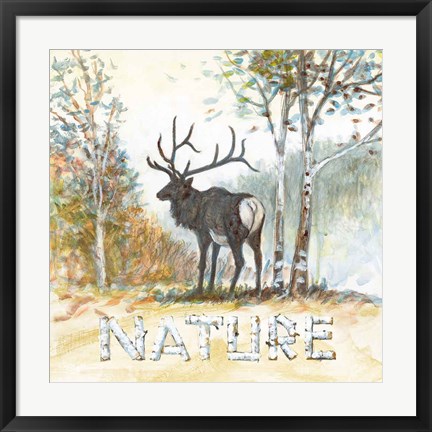 Framed Nature Print