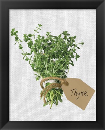 Framed Thyme Print
