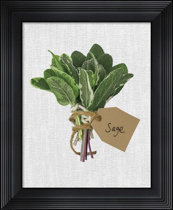 Framed Sage Print