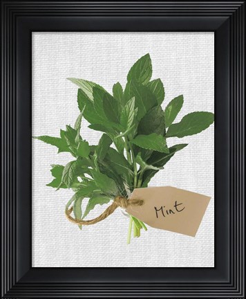 Framed Mint Print