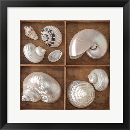 Framed Seashells Treasures I Print