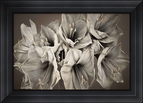 Framed Grand Floral Print