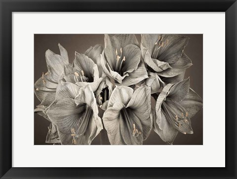 Framed Grand Floral Print