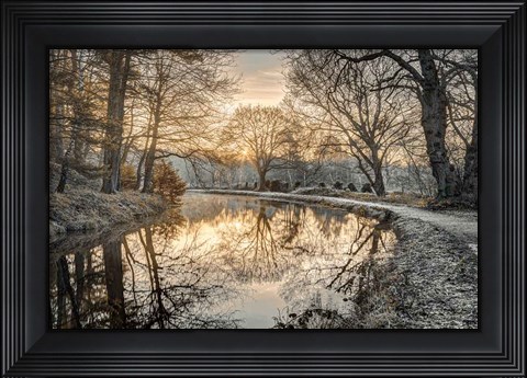 Framed Frosty Morning Print