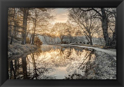 Framed Frosty Morning Print