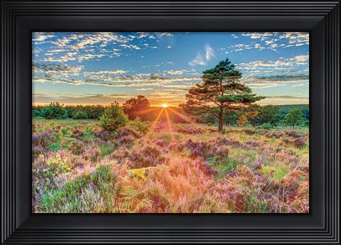 Framed Heathland Sunset Print