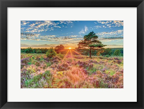 Framed Heathland Sunset Print