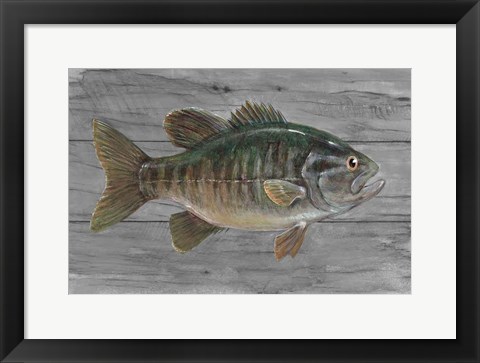 Framed Clear Water Beauty Print