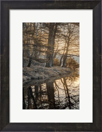 Framed Frosty Morning I Print