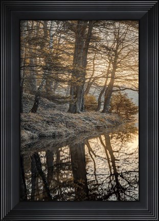 Framed Frosty Morning I Print