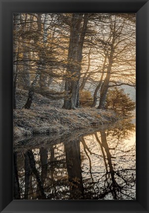 Framed Frosty Morning I Print