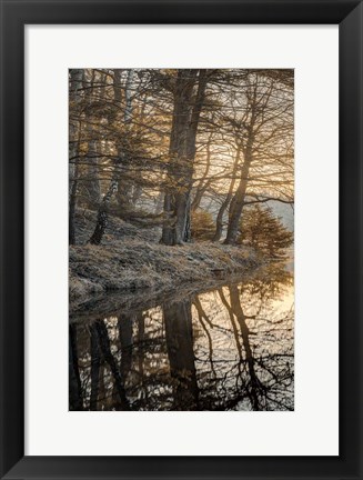 Framed Frosty Morning I Print