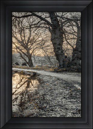 Framed Frosty Morning III Print