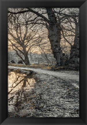 Framed Frosty Morning III Print