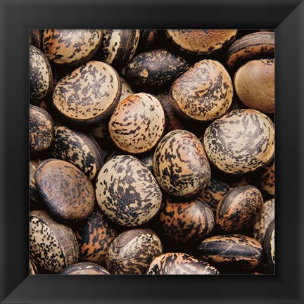 Framed Pebble Textures Print