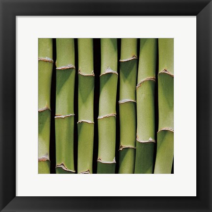 Framed Bamboo Lengths Print