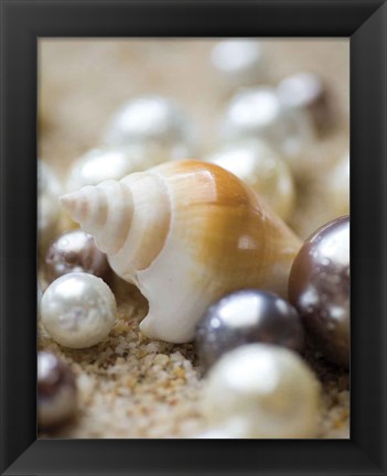 Framed Sea Jewels I Print